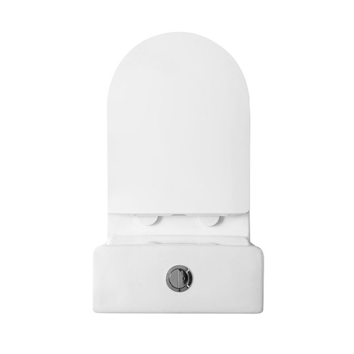 Унитаз-моноблок с сиденьем BelBagno LOUNGE BB8618CPR-MN/SC